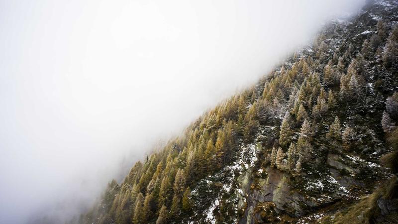磁力多技术解析：新一代种子搜索算法如何重塑资源发现体验